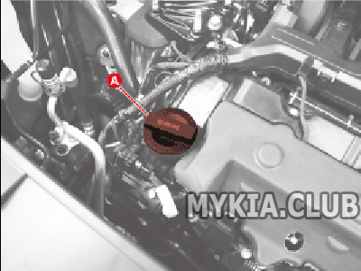 Замена масла Kia Sorento 4 (MQ4) (1).gif