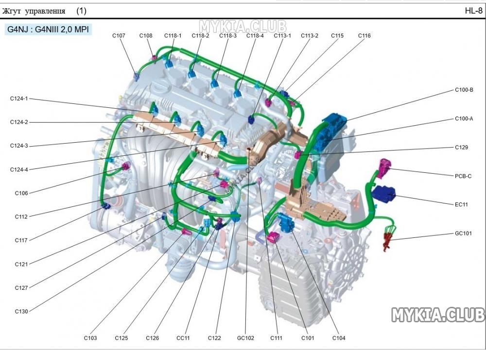 Схема и расположение жгутов проводки Kia Sportage 5 (NQ5) (1).jpg
