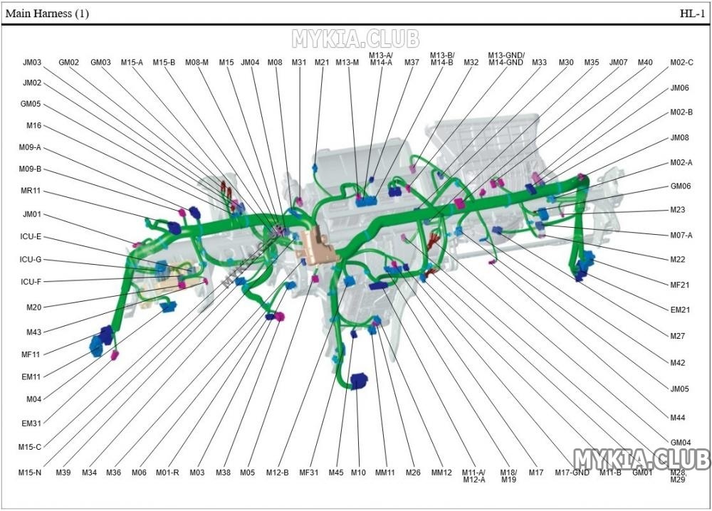 Схема и расположение жгутов проводки Kia Telluride (ON) (1).jpg