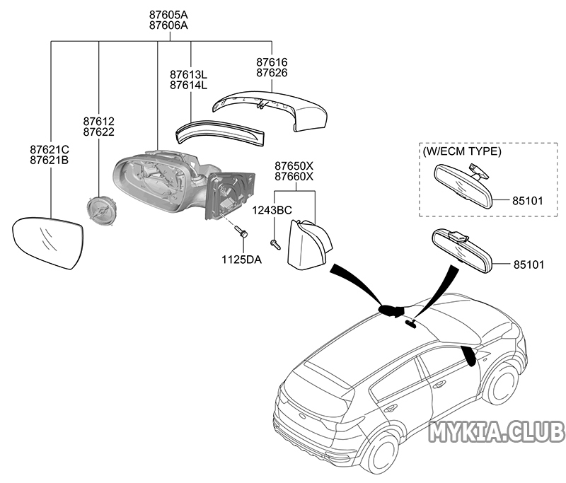 Боковое зеркало Kia Sportage 4 (QL).png