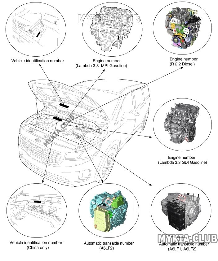 где находится VIN, номер двигателя, номер кузова Kia Carnival 3 (YP).jpg
